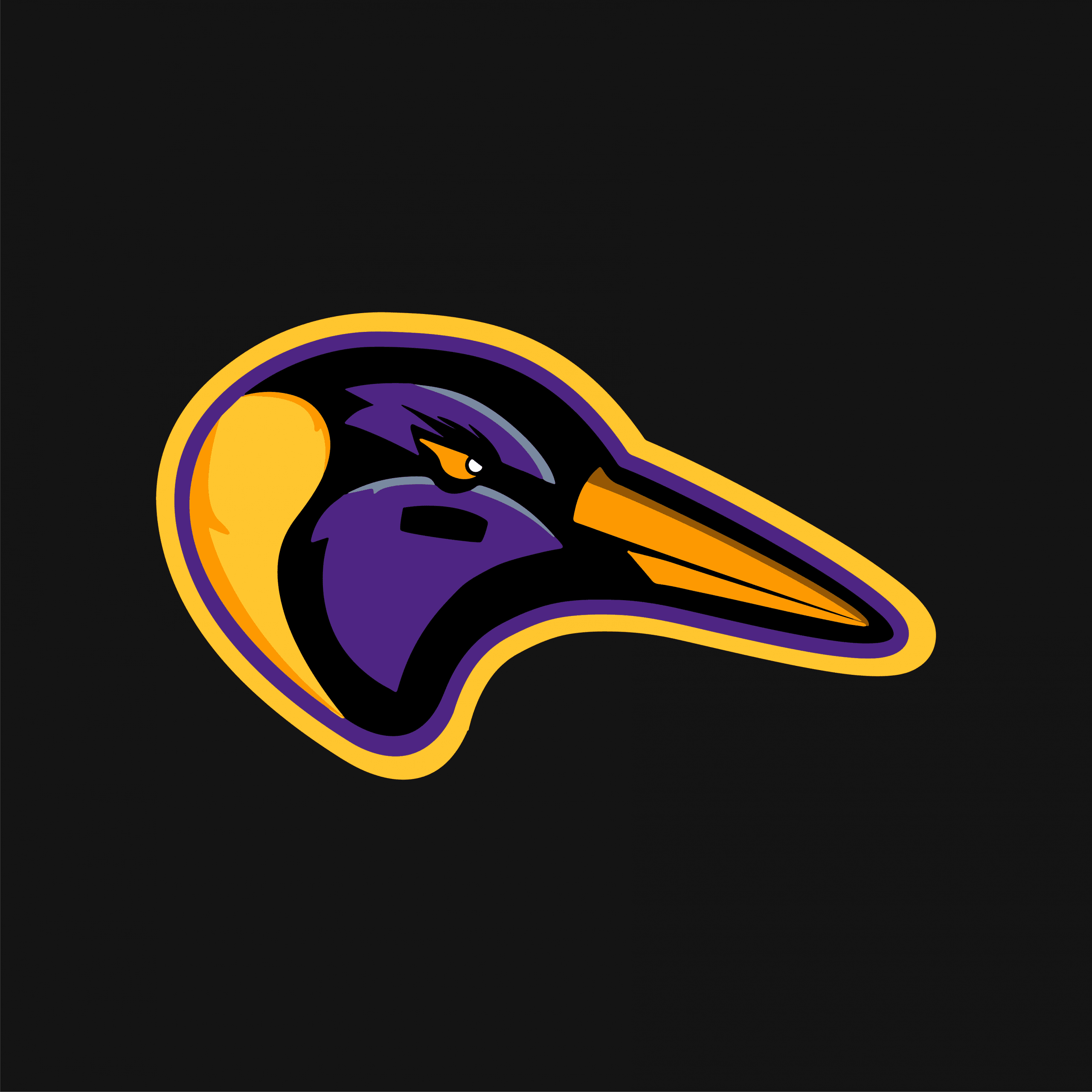 Valladolid Penguins